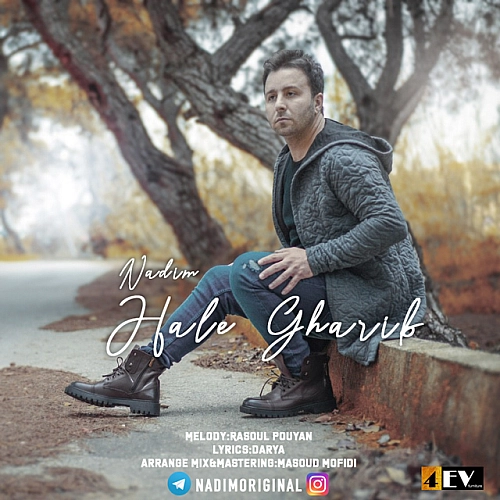 Cover artwork for Hale Gharib by Nadim